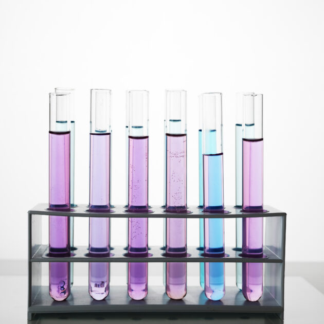Electrophoresis Systems